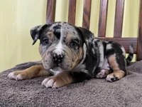 processed/09204eda-1a37-4939-88be-1b2a59439636/listing/cf491578-7de4-4dea-839d-6518ab298a71/8ccf6c63-1f70-4d0d-99dc-a8dd444aece7