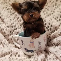 processed/0929dae7-546b-4dab-a52b-8da52e9be864/facility/471177de-37cf-4dbb-b228-2bb0e84c3fa3