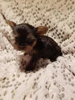 processed/0929dae7-546b-4dab-a52b-8da52e9be864/facility/494dc313-bae9-4fb3-8ff8-1c8cd077f0cf