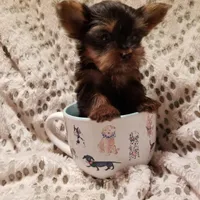 processed/0929dae7-546b-4dab-a52b-8da52e9be864/facility/4e552bf4-815b-4f85-8d7a-01774351abca