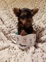 processed/0929dae7-546b-4dab-a52b-8da52e9be864/facility/4e552bf4-815b-4f85-8d7a-01774351abca