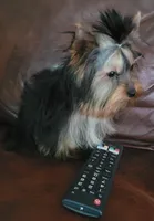 processed/0929dae7-546b-4dab-a52b-8da52e9be864/listing/c638882b-1b37-4f36-b5a6-1cc13f8e3a1f/4410861c-acb5-4932-998f-5ab4032402fc