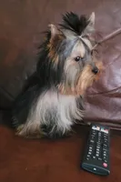 processed/0929dae7-546b-4dab-a52b-8da52e9be864/listing/c638882b-1b37-4f36-b5a6-1cc13f8e3a1f/5606f10a-75e5-476b-ba93-05d96153cc7f