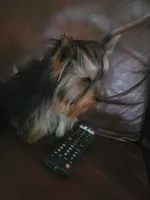 processed/0929dae7-546b-4dab-a52b-8da52e9be864/listing/c638882b-1b37-4f36-b5a6-1cc13f8e3a1f/f3b182c9-02d3-4600-ba4f-89fa6f73661f