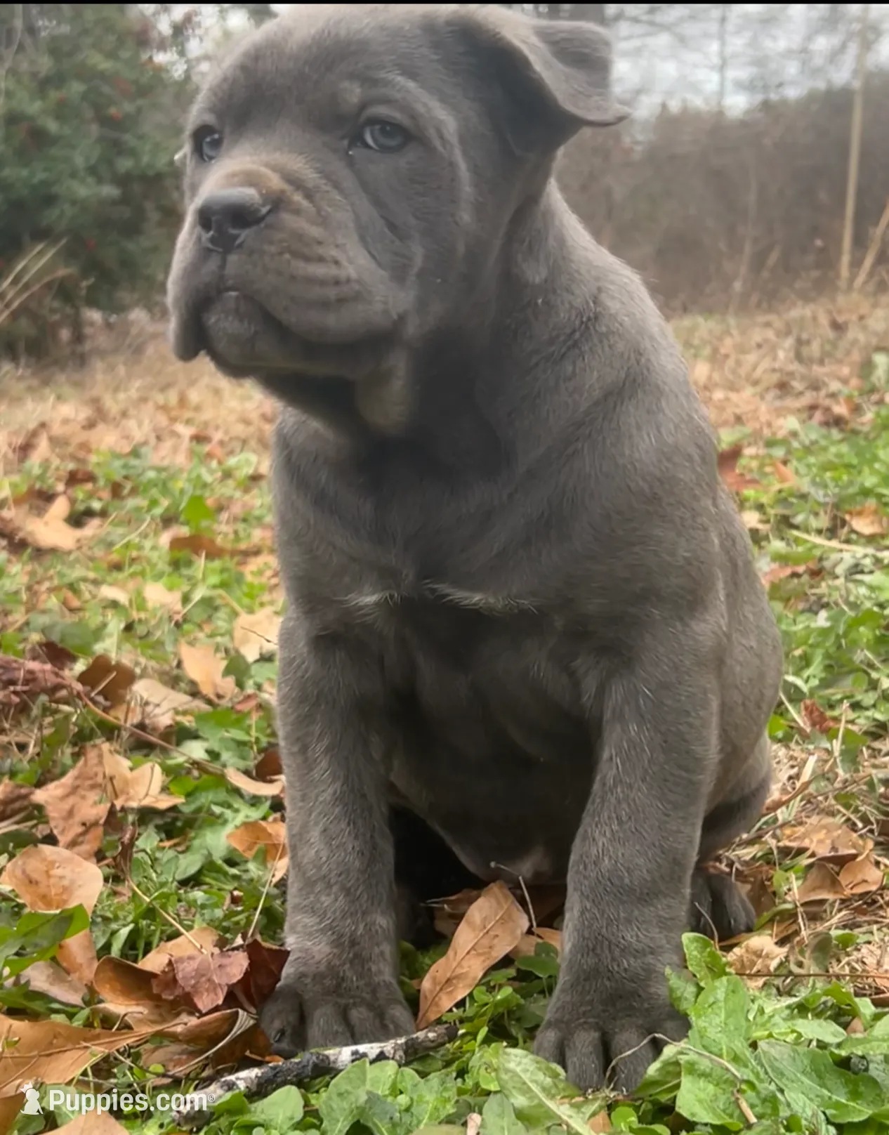 processed/09340b38-fa93-42a1-8715-e2572fbd061d/listing/989f4e49-543a-4bc9-bd2f-86514eb9fd5b/22a28811-42af-4f62-ae96-a44b009362c3