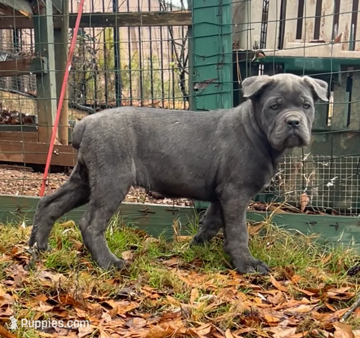 processed/09340b38-fa93-42a1-8715-e2572fbd061d/listing/989f4e49-543a-4bc9-bd2f-86514eb9fd5b/38a5035f-b190-451f-adb0-8c254b4f0588