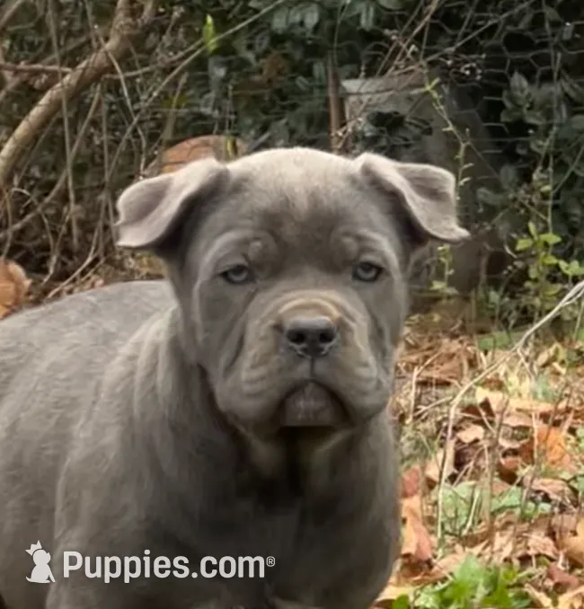 processed/09340b38-fa93-42a1-8715-e2572fbd061d/listing/989f4e49-543a-4bc9-bd2f-86514eb9fd5b/38e00c3f-044f-4256-a8f9-ca9293952737