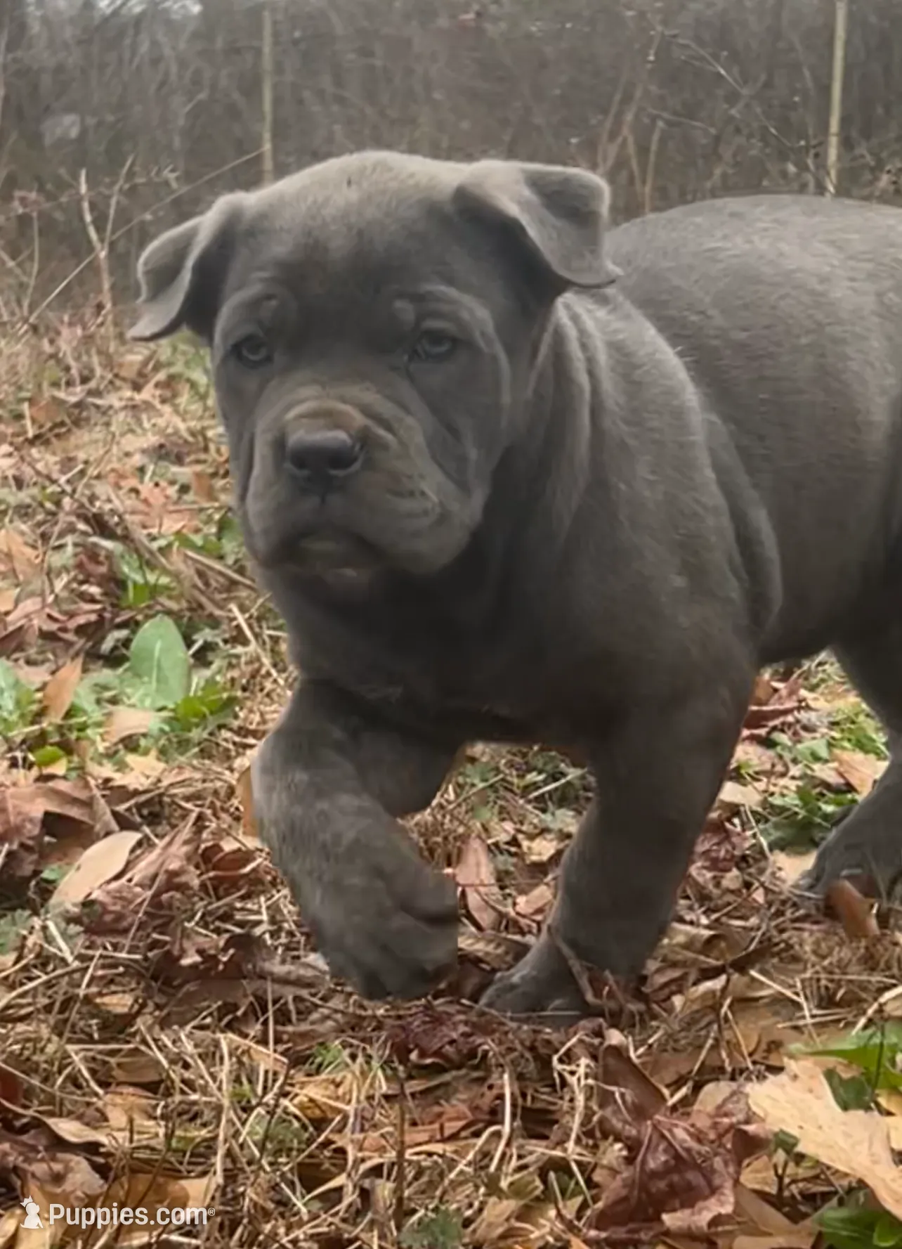 processed/09340b38-fa93-42a1-8715-e2572fbd061d/listing/989f4e49-543a-4bc9-bd2f-86514eb9fd5b/6363674b-b8b7-4093-9848-a82ab3f9ff4c