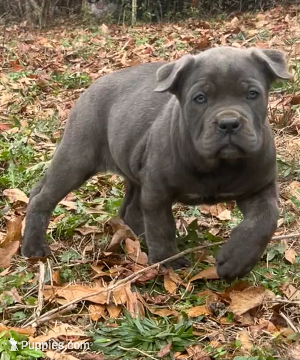 processed/09340b38-fa93-42a1-8715-e2572fbd061d/listing/989f4e49-543a-4bc9-bd2f-86514eb9fd5b/95b3f682-7943-4b5d-91e3-090be3bda1d1