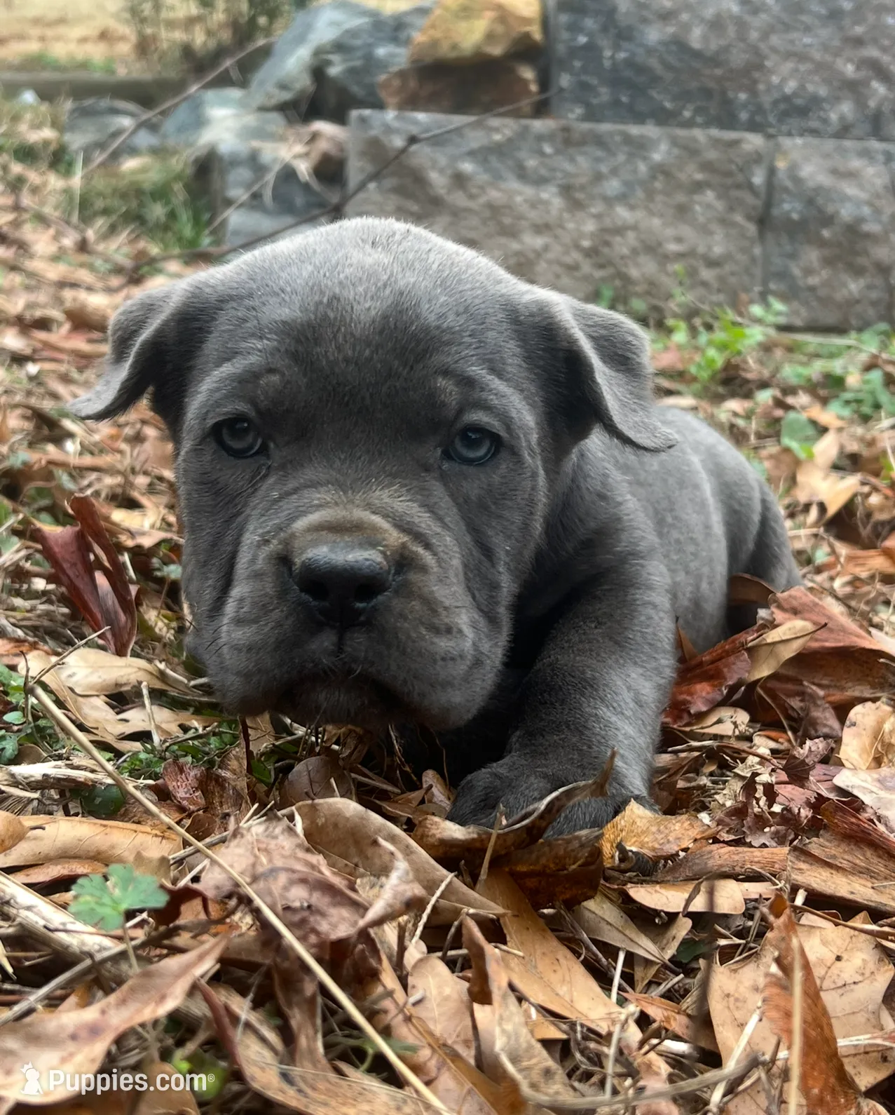 processed/09340b38-fa93-42a1-8715-e2572fbd061d/listing/989f4e49-543a-4bc9-bd2f-86514eb9fd5b/ed47b42b-fa61-40da-ab81-92a402439270