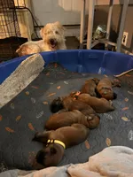 Facility photo