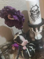 Jasper, a male Boston Terrier for sale in Porter, TX – 2 of 5