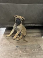 processed/094071a0-0d43-4b55-94c9-0b2126ae49da/listing/ba7ea112-b388-4804-8f73-14636cae8469/92fd7d06-e968-4d24-8f2c-74745966bcc1