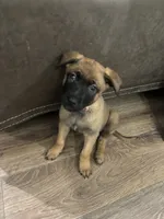 processed/094071a0-0d43-4b55-94c9-0b2126ae49da/listing/ba7ea112-b388-4804-8f73-14636cae8469/add80643-1cdd-4d60-b39e-fe4cf0e3dd56