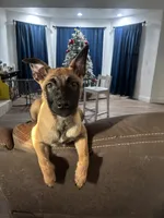 processed/094071a0-0d43-4b55-94c9-0b2126ae49da/listing/ba7ea112-b388-4804-8f73-14636cae8469/c34ac2d3-4d61-4c86-8c62-c9edae587b5b