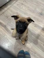 processed/094071a0-0d43-4b55-94c9-0b2126ae49da/listing/ba7ea112-b388-4804-8f73-14636cae8469/d5240262-757a-40d3-9492-66432f20f4fb