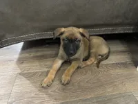 processed/094071a0-0d43-4b55-94c9-0b2126ae49da/listing/ba7ea112-b388-4804-8f73-14636cae8469/ddcbd698-ba43-489f-b739-0120a3078776