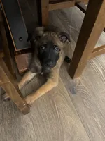 processed/094071a0-0d43-4b55-94c9-0b2126ae49da/listing/ba7ea112-b388-4804-8f73-14636cae8469/e4f31c07-4007-43af-9a76-1992a45626c1