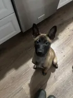 processed/094071a0-0d43-4b55-94c9-0b2126ae49da/listing/cffa313c-2cb7-4c26-9e57-efdfa045e961/0b6c1e93-53cd-441c-a9ec-d76707c89556