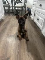 processed/094071a0-0d43-4b55-94c9-0b2126ae49da/listing/cffa313c-2cb7-4c26-9e57-efdfa045e961/41741e24-5d82-4b94-be62-2902c53d5f6d