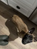 processed/094071a0-0d43-4b55-94c9-0b2126ae49da/listing/cffa313c-2cb7-4c26-9e57-efdfa045e961/d8f10940-1a5e-4bcb-b572-e94d8392cce8