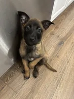 processed/094071a0-0d43-4b55-94c9-0b2126ae49da/listing/cffa313c-2cb7-4c26-9e57-efdfa045e961/ffa341af-0477-402b-9de8-a9ac90f80d25