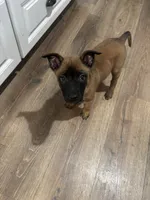 processed/094071a0-0d43-4b55-94c9-0b2126ae49da/listing/d1545d9c-816c-4af8-a5c9-bc573d98ec0a/02f7e9e2-b1e6-42b8-a1eb-88cd2e364250