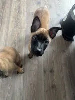 processed/094071a0-0d43-4b55-94c9-0b2126ae49da/listing/d1545d9c-816c-4af8-a5c9-bc573d98ec0a/3046a226-6755-4dce-b419-3de4a244e93d