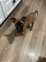 processed/094071a0-0d43-4b55-94c9-0b2126ae49da/listing/d1545d9c-816c-4af8-a5c9-bc573d98ec0a/33c0bd86-dba4-42d8-bcc2-06985f816131