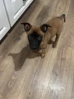 processed/094071a0-0d43-4b55-94c9-0b2126ae49da/listing/d1545d9c-816c-4af8-a5c9-bc573d98ec0a/3d4a6cb6-80f0-4520-8b53-12a23da43592