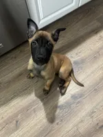 processed/094071a0-0d43-4b55-94c9-0b2126ae49da/listing/d1545d9c-816c-4af8-a5c9-bc573d98ec0a/70132216-85ed-4331-a7db-e4bbad55c079