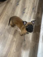 processed/094071a0-0d43-4b55-94c9-0b2126ae49da/listing/da61f1da-f78e-46ba-8555-bcf78043be8a/5083e0fa-b981-4efa-9e1f-f5570ee2d151