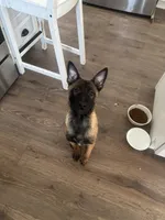 processed/094071a0-0d43-4b55-94c9-0b2126ae49da/listing/da61f1da-f78e-46ba-8555-bcf78043be8a/5c03577c-dfe0-4d8a-8385-136047295569