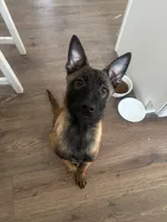 processed/094071a0-0d43-4b55-94c9-0b2126ae49da/listing/da61f1da-f78e-46ba-8555-bcf78043be8a/65482f5f-0135-42ea-921d-1493c1464743