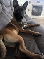 processed/094071a0-0d43-4b55-94c9-0b2126ae49da/listing/da61f1da-f78e-46ba-8555-bcf78043be8a/fec61661-846a-4632-9bfd-e92e4109393b