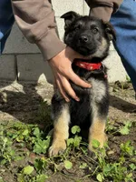 processed/094224ba-e950-4966-8809-0980a13c6369/listing/0be80a57-087d-4c50-b6a9-fd99ff0d5df1/007d19bf-2323-4cdd-beb7-796f4546850c