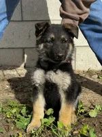 processed/094224ba-e950-4966-8809-0980a13c6369/listing/0be80a57-087d-4c50-b6a9-fd99ff0d5df1/9a884930-7279-4f6e-bf3f-733a63b70ef2