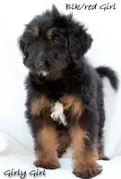 processed/095a82ae-3a0c-46ea-a46c-1afa9c74c7c8/listing/1f55ec04-3cd1-4558-a111-52f454518ba2/2e67e303-61df-4d69-b767-7a3083f0a6f3