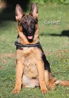 processed/095a82ae-3a0c-46ea-a46c-1afa9c74c7c8/listing/44196526-f065-4251-aa06-4359e3efd4ec/bdc50339-e3f3-4e11-bf66-223f8f74b68b