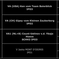 first choice, a female German Shepherd Dog for sale in Riverside, CA – Photo 2 of 2