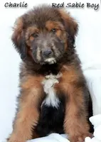 processed/095a82ae-3a0c-46ea-a46c-1afa9c74c7c8/listing/c6688f2f-fe93-4a88-bdea-2b9a2ea4bdcc/16879bce-bc3a-4ad4-940a-c7544197d362