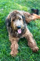 processed/095a82ae-3a0c-46ea-a46c-1afa9c74c7c8/listing/c6688f2f-fe93-4a88-bdea-2b9a2ea4bdcc/90da8fcf-1069-4044-9452-26a4efd52195