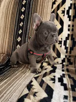 processed/095fde89-a6e4-4829-ae75-76bcd79fc4e1/listing/fc049dec-0f48-4487-a64b-8d095e51b492/10fdfab3-136b-46fa-95dd-0a69dd52eba2