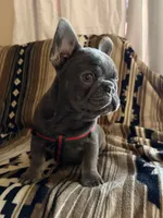 processed/095fde89-a6e4-4829-ae75-76bcd79fc4e1/listing/fc049dec-0f48-4487-a64b-8d095e51b492/119d4657-103c-457a-aa5f-364a61128a39