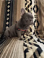 processed/095fde89-a6e4-4829-ae75-76bcd79fc4e1/listing/fc049dec-0f48-4487-a64b-8d095e51b492/68735e5f-e49f-4500-8127-12806c976d1c