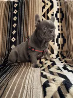 processed/095fde89-a6e4-4829-ae75-76bcd79fc4e1/listing/fc049dec-0f48-4487-a64b-8d095e51b492/806788be-ebe3-4d95-b1dc-bd29304e7927