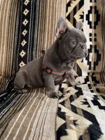 processed/095fde89-a6e4-4829-ae75-76bcd79fc4e1/listing/fc049dec-0f48-4487-a64b-8d095e51b492/b4933734-84af-4e3e-beb4-679da5635ad9