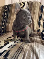 processed/095fde89-a6e4-4829-ae75-76bcd79fc4e1/listing/fc049dec-0f48-4487-a64b-8d095e51b492/c7d33359-471d-422f-a549-ee835b0ff73e