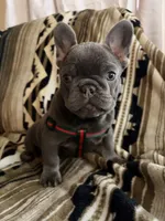 processed/095fde89-a6e4-4829-ae75-76bcd79fc4e1/listing/fc049dec-0f48-4487-a64b-8d095e51b492/f87bdf49-3933-4da4-93a5-1d7988d27a23