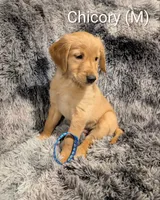 processed/0960501c-8153-4c83-878e-23017ae1dd30/listing/297e6556-4f75-437f-a79f-81729b2a9bd3/58dc53bf-222e-4778-8a84-6dd4f4c60c7f